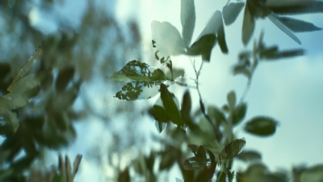 Studies on Breaking Immersion